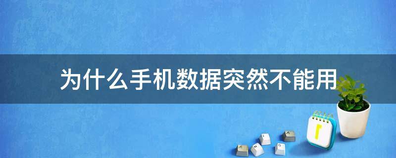 为什么手机数据突然不能用 为什么手机数据突然不能用了