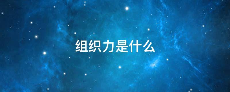 组织力是什么（组织力是什么意思）