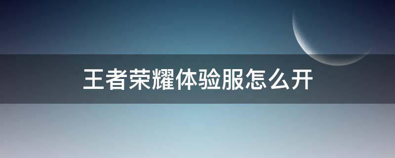 王者荣耀体验服怎么开（王者荣耀体验服怎么开启定位）