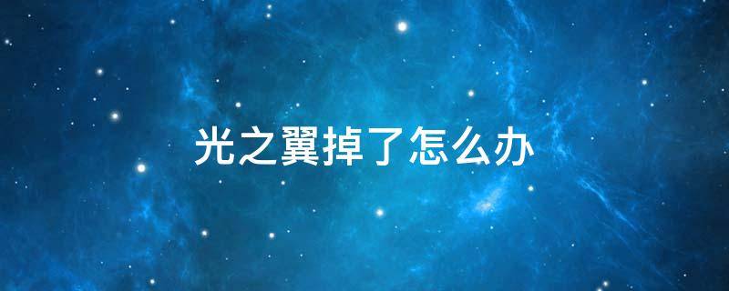 光之翼掉了怎么办 永久光之翼掉了怎么办