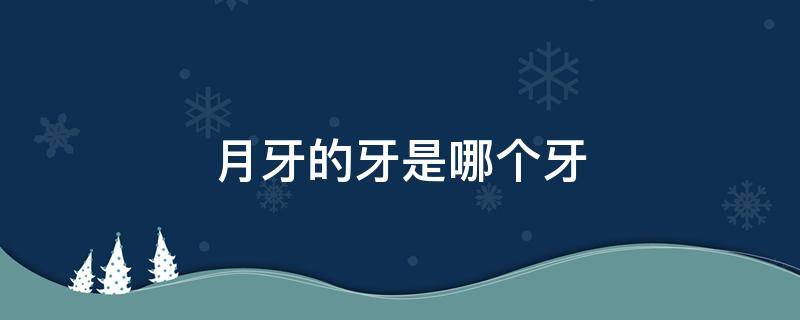 月牙的牙是哪个牙 月牙的牙是哪个牙啊