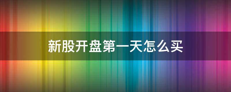 新股开盘第一天怎么买 新股开盘的第一天能买进去吗
