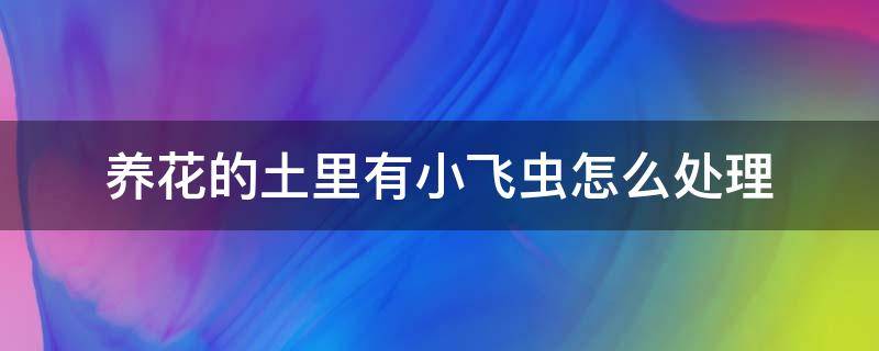 养花的土里有小飞虫怎么处理 养花土里生小飞虫怎么办