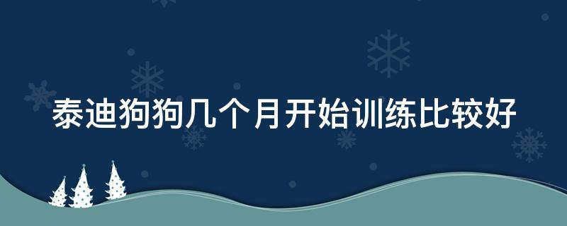泰迪狗狗几个月开始训练比较好 泰迪狗狗几个月的时候训练最好