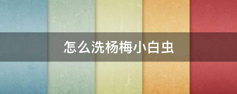 怎么洗杨梅小白虫 怎样才能把杨梅里的小白虫泡出来