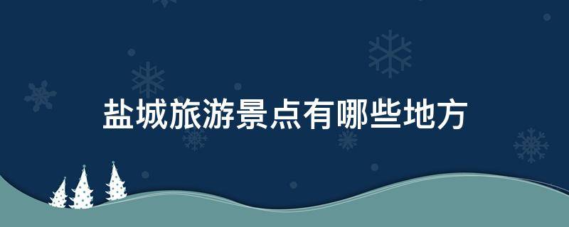 盐城旅游景点有哪些地方（江苏盐城市旅游景点有哪里）