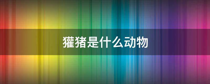 獾猪是什么动物 猪獾是什么动物?