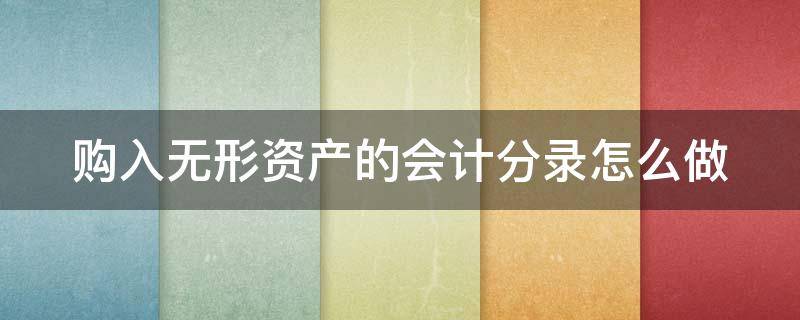 购入无形资产的会计分录怎么做（购入无形资产的支出计入费用吗）