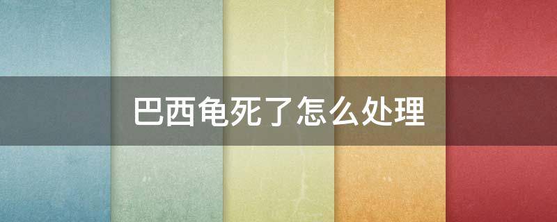 巴西龟死了怎么处理（巴西龟死掉）