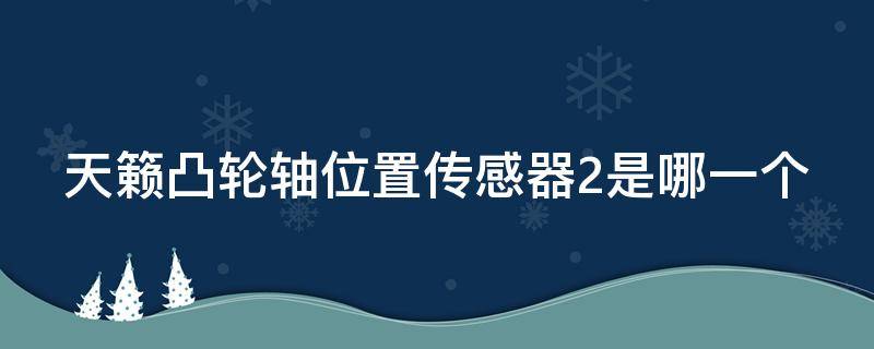 天籁凸轮轴位置传感器2是哪一个（天籁凸轮轴传感器坏了的症状）