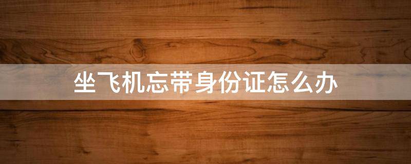 坐飞机忘带身份证怎么办（坐飞机忘带身份证怎么办临时身份证）