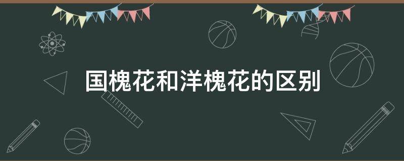 国槐花和洋槐花的区别 国槐花和洋槐花有什么区别