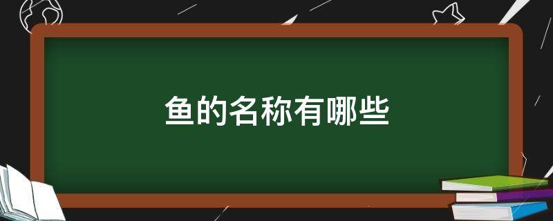 鱼的名称有哪些 鱼的名称都有哪些