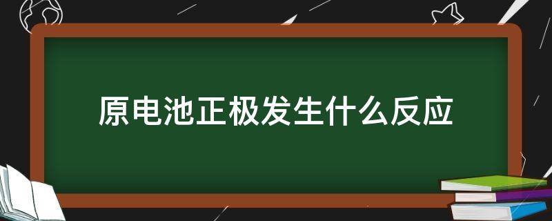 原电池正极发生什么反应 原电池正极发生什么反应?