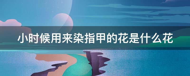 小时候用来染指甲的花是什么花 小时候用来染指甲的花是什么花?