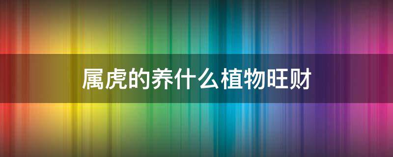 属虎的养什么植物旺财（属虎的人养什么植物旺财）