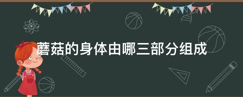 蘑菇的身体由哪三部分组成（蘑菇的身体有什么什么什么组成）