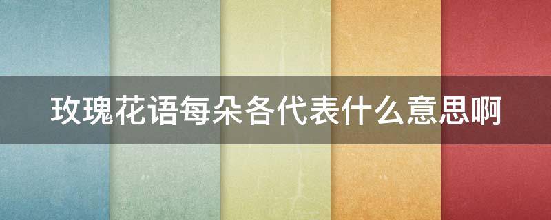 玫瑰花语每朵各代表什么意思啊 每种玫瑰花语