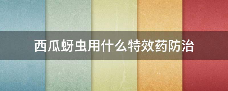 西瓜蚜虫用什么特效药防治（大棚西瓜蚜虫防治特效药）