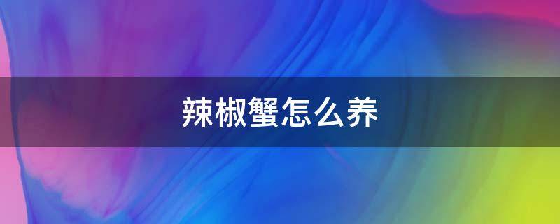 辣椒蟹怎么养 观赏辣椒蟹怎么养