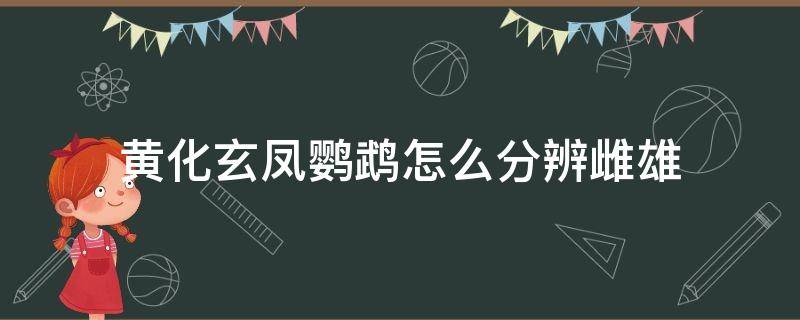 黄化玄凤鹦鹉怎么分辨雌雄（玄凤鹦鹉如何辨别雌雄）