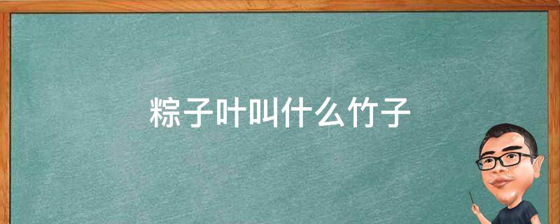 粽子叶叫什么竹子（粽子的竹叶叫什么）