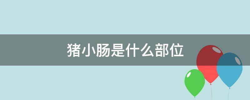 猪小肠是什么部位（猪大肠和小肠的位置）