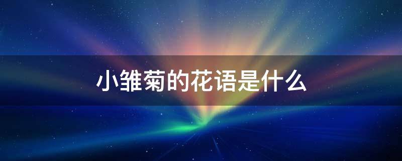 小雏菊的花语是什么（向日葵的花语是什么）