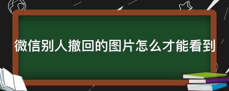 微信别人撤回的图片怎么才能看到（微信别人撤回的图片怎么才能看到苹果手机）