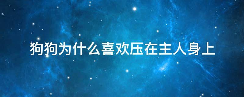 狗狗为什么喜欢压在主人身上（狗喜欢压在人身上是什么意思）