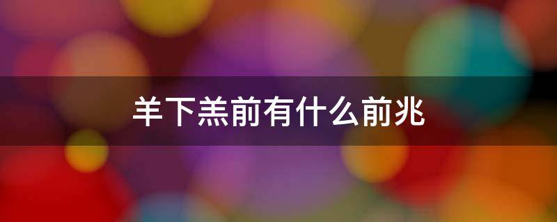羊下羔前有什么前兆 羊下羔前有什么前兆视频一下