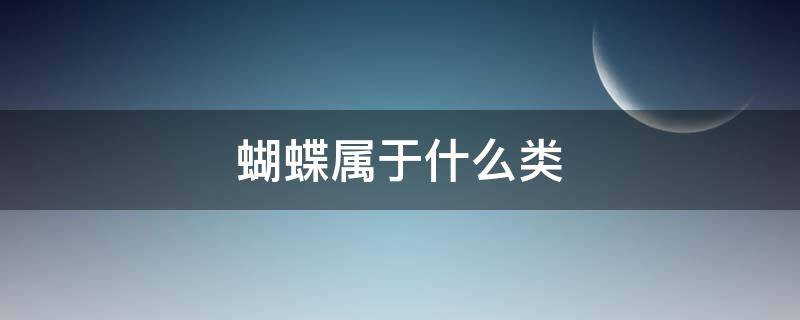 蝴蝶属于什么类 蜻蜓和蝴蝶属于什么类