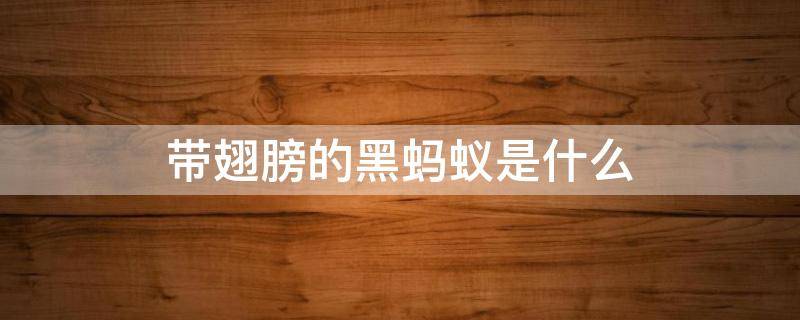 带翅膀的黑蚂蚁是什么（带翅膀的黑蚂蚁是什么,咬人很痛,有毒吗?）