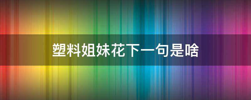 塑料姐妹花下一句是啥 塑料姐妹情下一句是啥