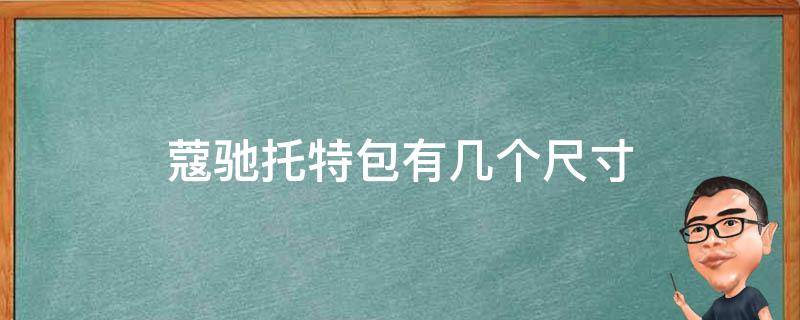 蔻驰托特包有几个尺寸（蔻驰托特包是什么材质）