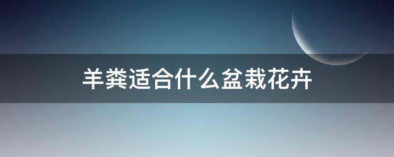 羊粪适合什么盆栽花卉 羊粪土适合养什么花?