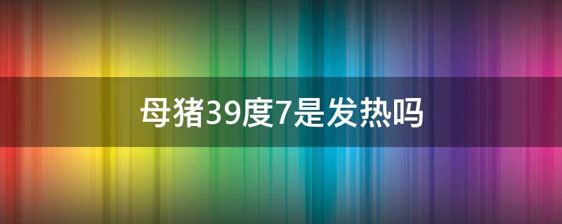 母猪39度7是发热吗（母猪体温39.7是发烧吗）