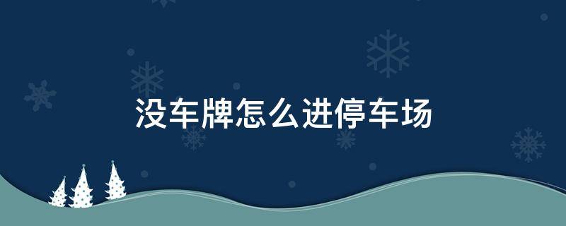 没车牌怎么进停车场（没车牌如何进停车场）