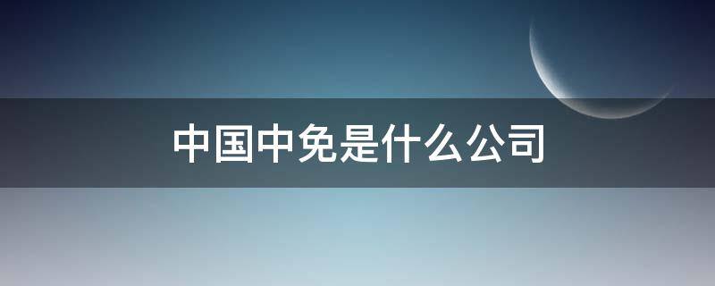 中国中免是什么公司 中国中免公司简介