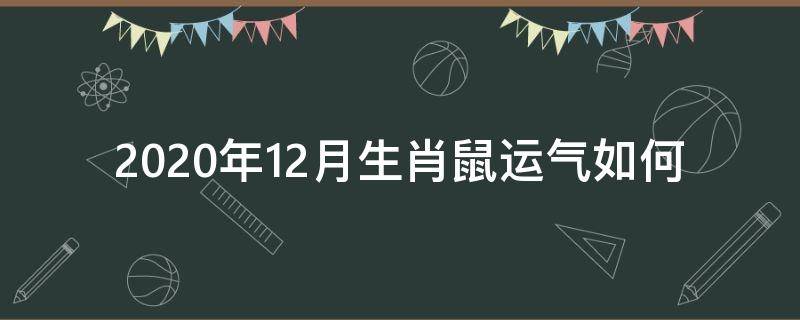 2020年12月生肖鼠运气如何（属老鼠2020年12月份运气）