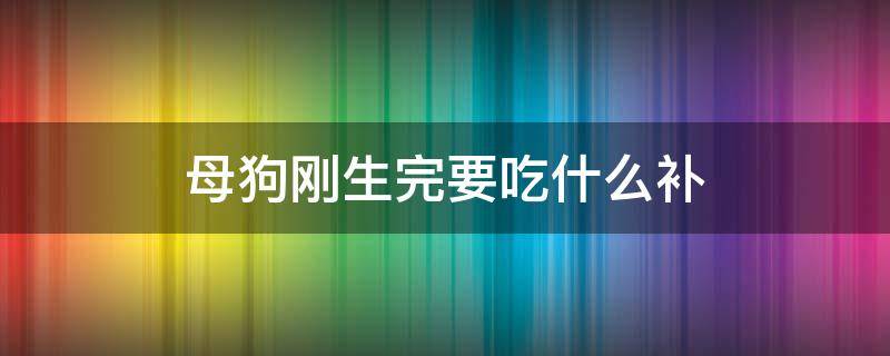 母狗刚生完要吃什么补（母狗刚生完吃什么好）