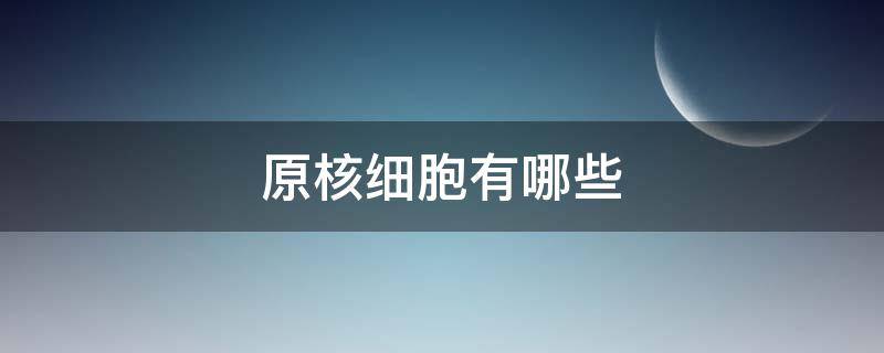 原核细胞有哪些（高中原核细胞有哪些）