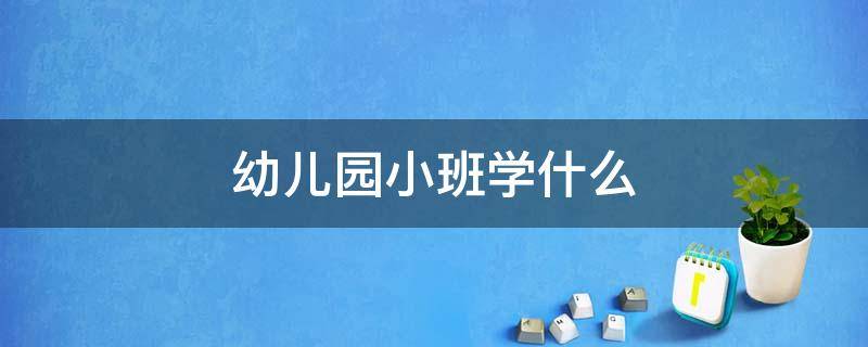 幼儿园小班学什么（幼儿园小班学什么内容有哪些）