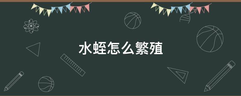 水蛭怎么繁殖 水蛭怎么繁殖视频