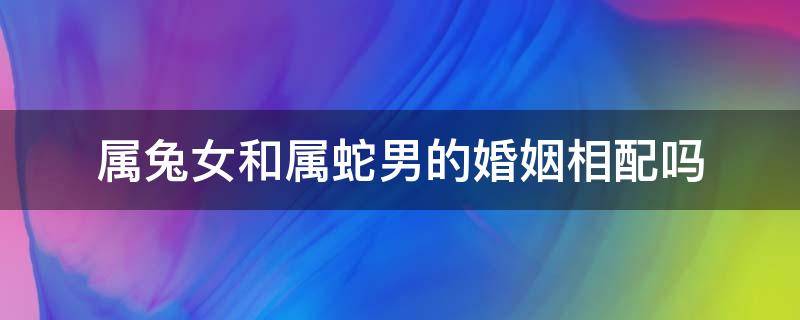 属兔女和属蛇男的婚姻相配吗 属兔女配属蛇男婚姻好不好