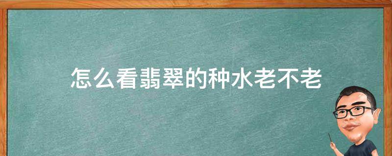 怎么看翡翠的种水老不老（翡翠原石如何看种水老嫩）