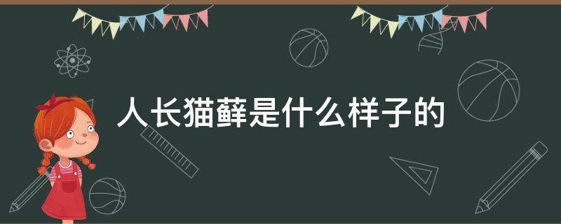 人长猫藓是什么样子的（人长猫藓是什么症状）