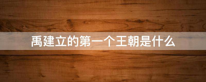 禹建立的第一个王朝是什么（禹创造的第一个王朝）