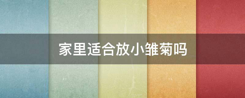 家里适合放小雏菊吗 小雏菊不适合放家里吗