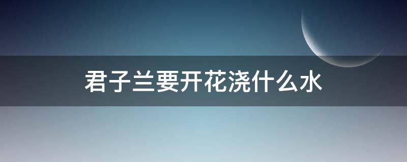 君子兰要开花浇什么水（君子兰开花时浇什么水好）
